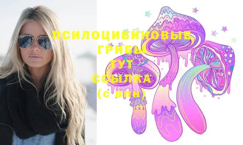 Галлюциногенные грибы Psilocybe  Отрадная 